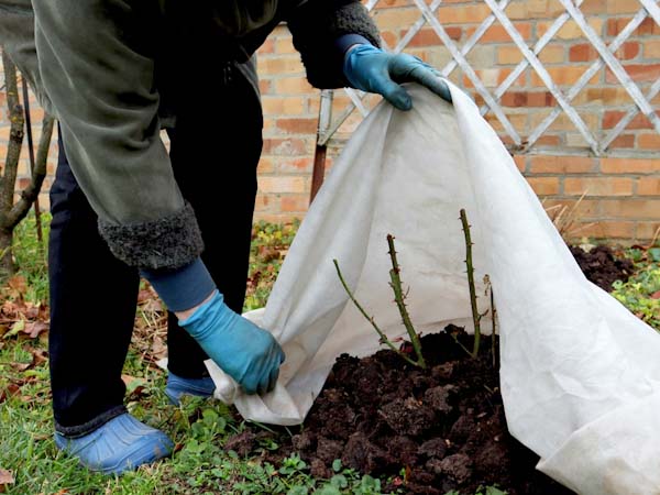 Frost Blankets - The Cold Weather Plant Protector