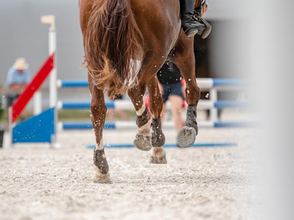 Horse Arena Fabric 101