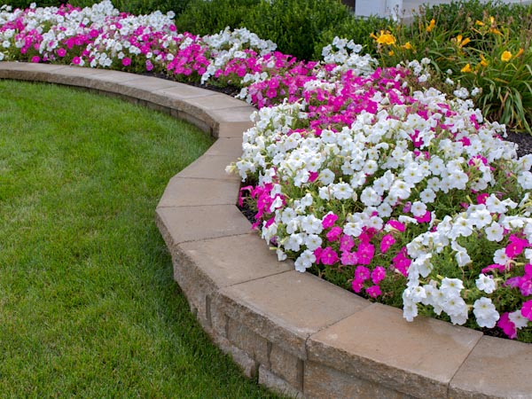 Flower Bed Fabric - Why Your Garden Needs It