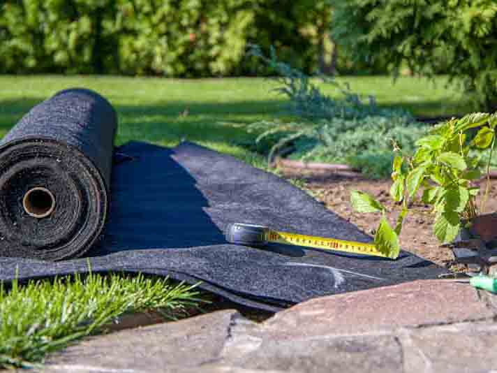 Landscape Fabric - The Ultimate Guide